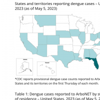 Dengue in the US May 2023