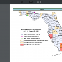 Florida disease 2023