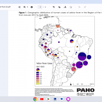 Yellow fever cases 2023