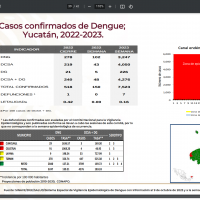 Cancun dengue cases 2023