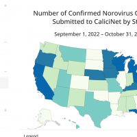 Norovirus
