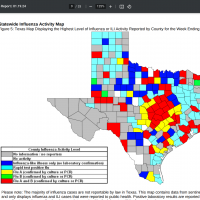Texas flu virus map 2024
