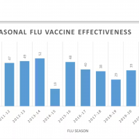 flu vaccine 