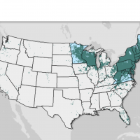 Lyme disease cases 2024