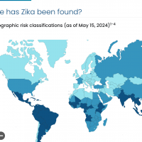 Zika 