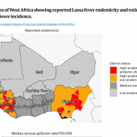 Lassa fever vaccine