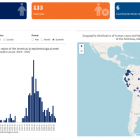 yellow fever vaccine