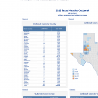 Texas Measles 2025