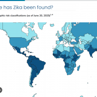 Zika vaccine