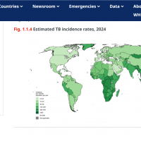 BCG vaccine