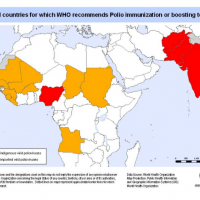 Polio cases in Africa 2023