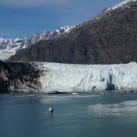 alaska glacier cruise