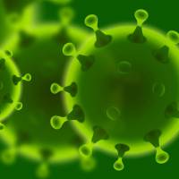 depiction of covid virus