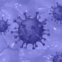 picture of sars virus