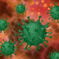 depiction of sars-cov-2 virus in the human cells