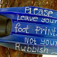 Travel vaccines 2023