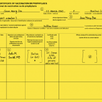 Yellow fever vaccine