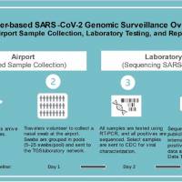 Airport testing of arriving passengers