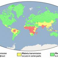 Malaria cases worldwide