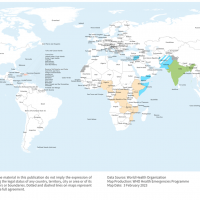 Cholera outbreaks 2023