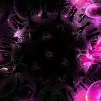 body cells working to fight HIV germs