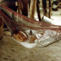 baby sleeping in a netted hammock
