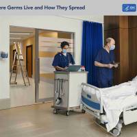 Influenza viruses 2023