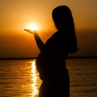 Malaria Florida 2023