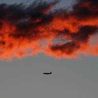 plane flying in the red sky