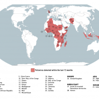 Polio outbreaks 2023