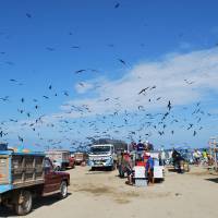 ocean side town in ecuador