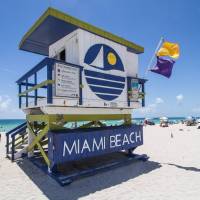 Dengue Miami Florida 2023