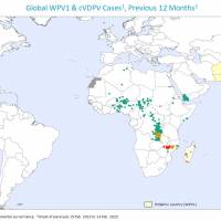 Polio virus outbreaks 2023