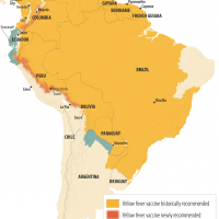 yellow fever vaccine