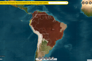 yellow fever