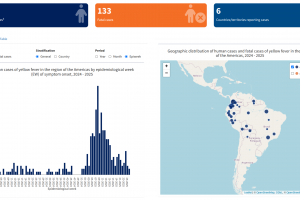 yellow fever vaccine