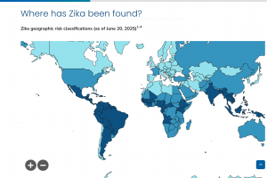 Zika vaccine