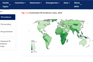 BCG vaccine