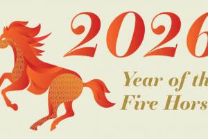 yellow fever vaccine 2026