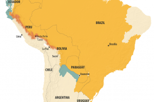 yellow fever vaccine