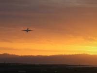 jet flying through the yellow skies